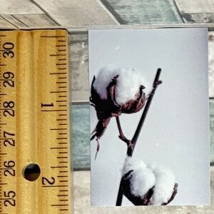 🌀10/$10🌀 White Dream Reusable Washi Sticker Decal